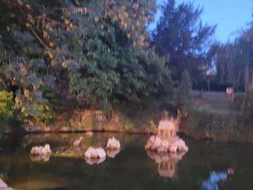 Colocation à louer à Ris-Orangis - photo 22 : jardin-22
