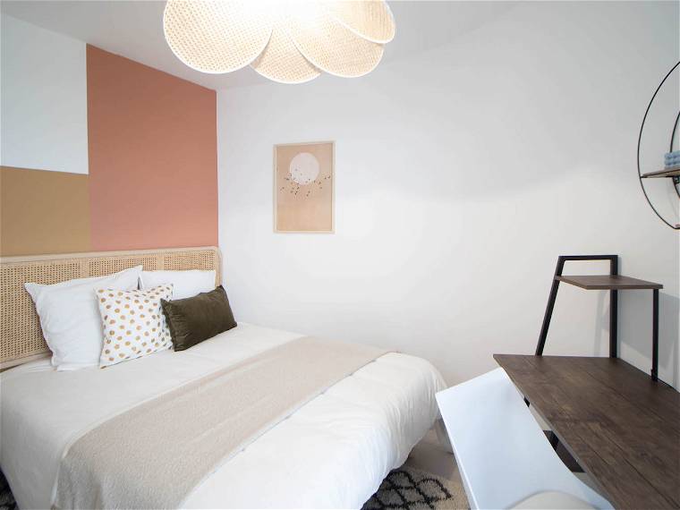 Chambre À Louer Villeurbanne 262100-1