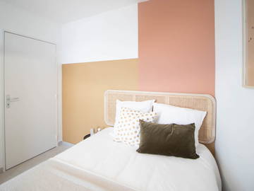 Chambre À Louer Villeurbanne 262100