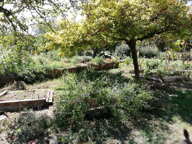 Chambre Chez L'habitant Chaveignes 222961-2