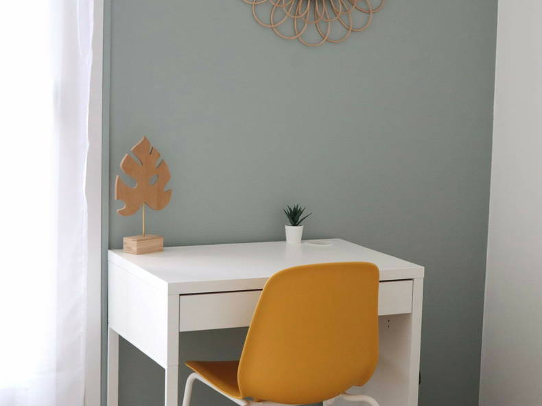 Colocation Annemasse 259565-3