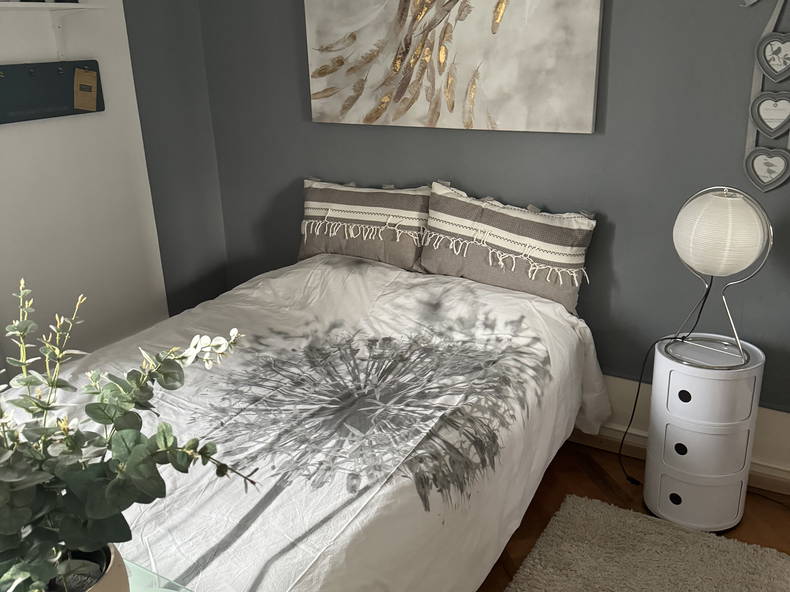 Colocation Lausanne 664225-2