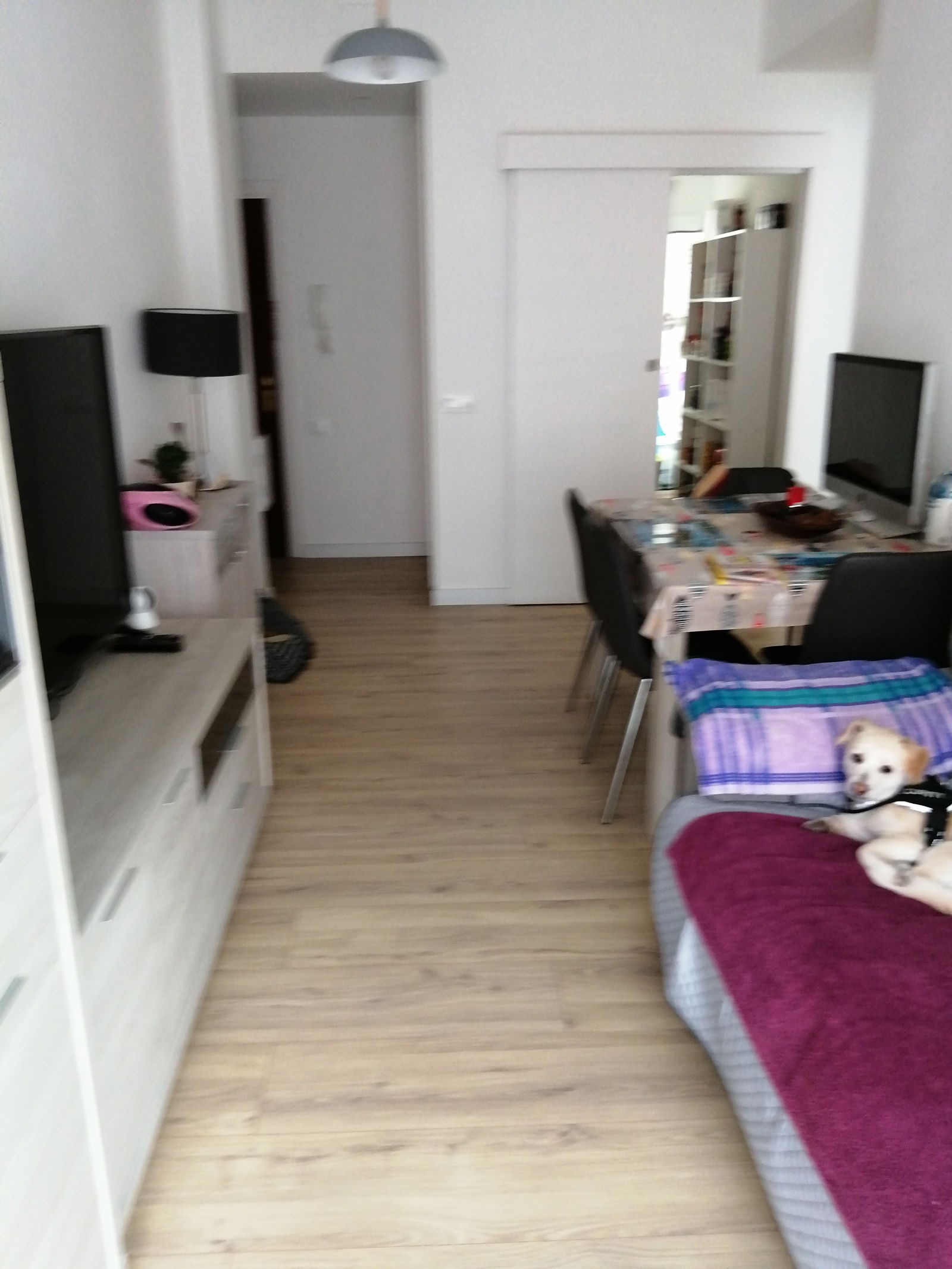 Colocation Barcelona 265315