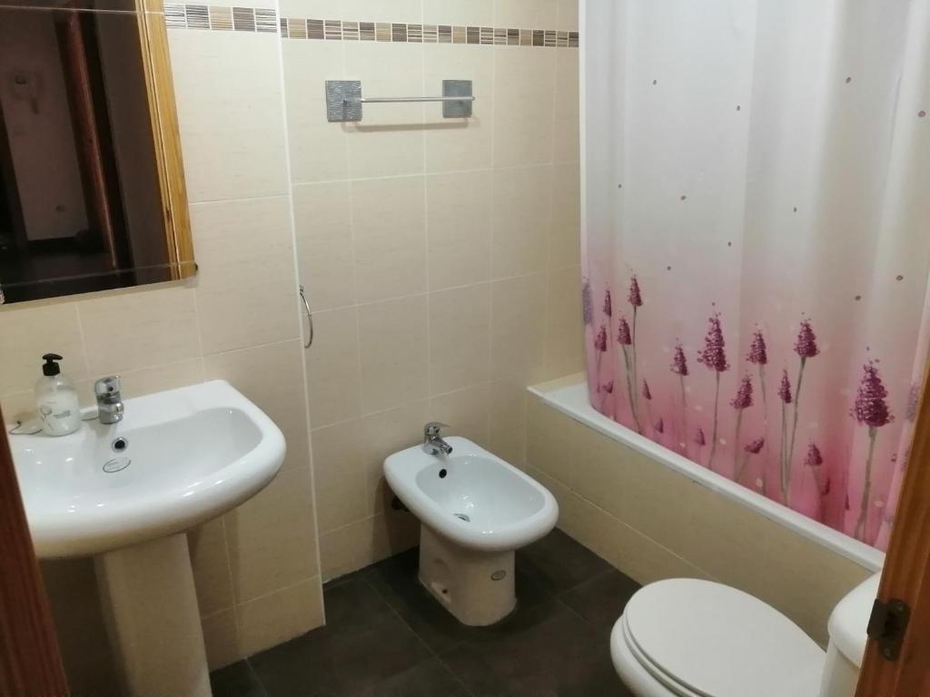 Colocation Alcantarilla 195530