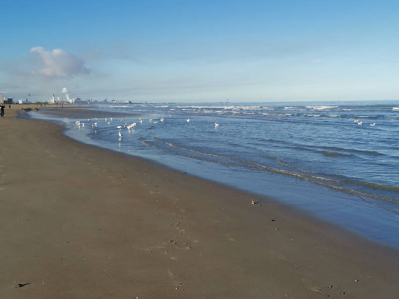 Hjemmeophold Calais 657281-4