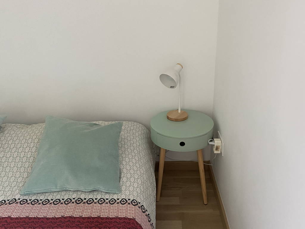 Homestay Lille 250117-1