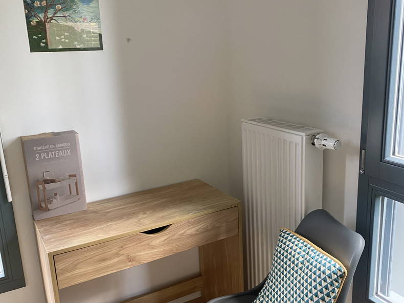 Homestay Lille 250117-4