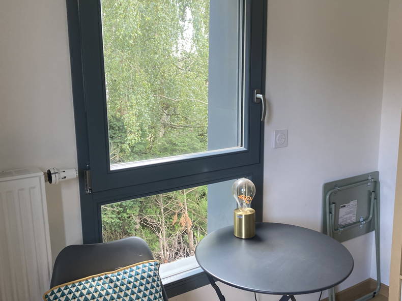 Homestay Lille 250117-5