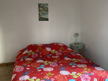 Chambre Chez L'habitant Lille 250117-10