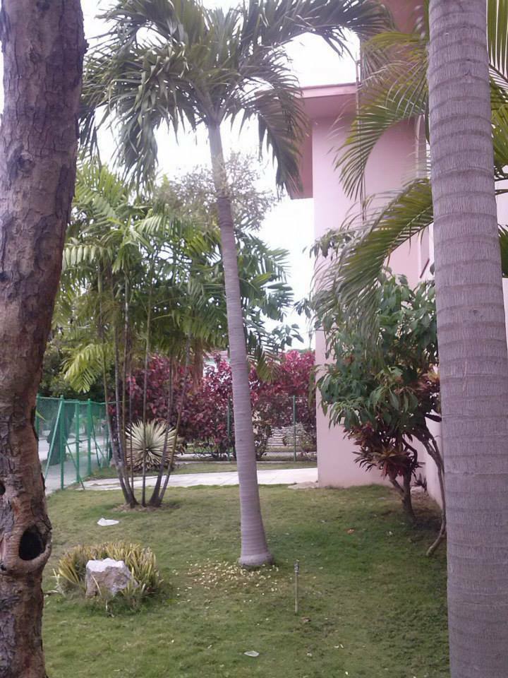 Chambre Chez L'habitant La Habana 107434