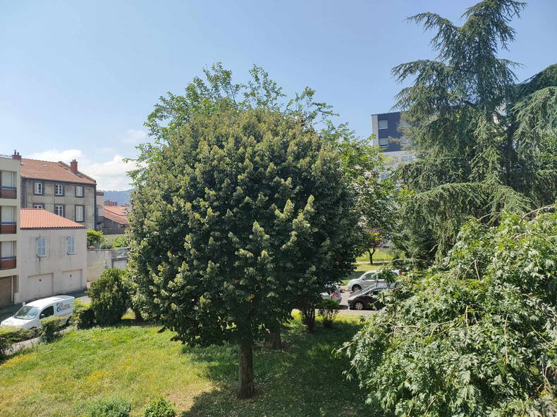 Collocazione Beaumont 657377-2