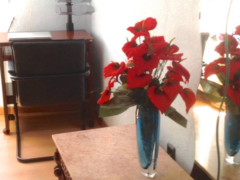 Quedarse En Casa Madrid 83244-5