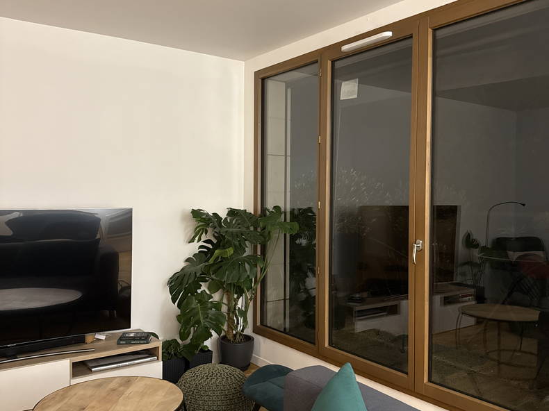 Homestay Issy-les-Moulineaux 627997-5