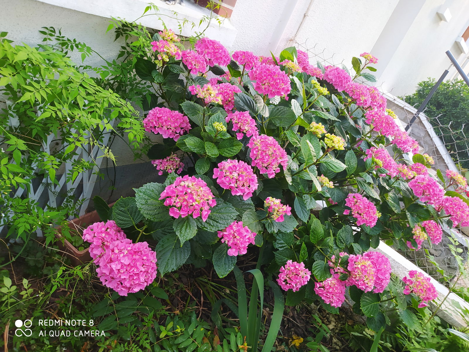 Quedarse En Casa Orléans 152708