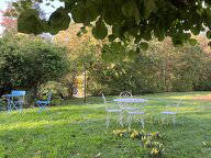 Chambre chez l'habitant à louer à Troinex - jardin-11