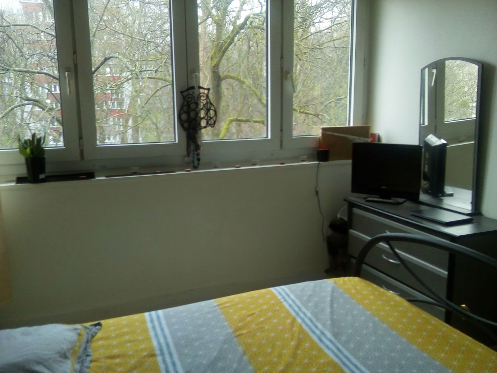 Chambre Chez L'habitant Sucy-en-Brie 196414