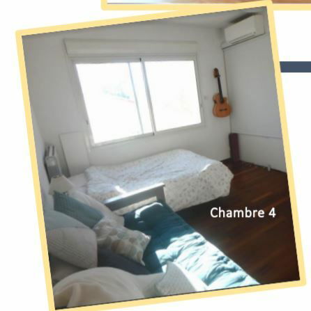 Colocation Montpellier 249777