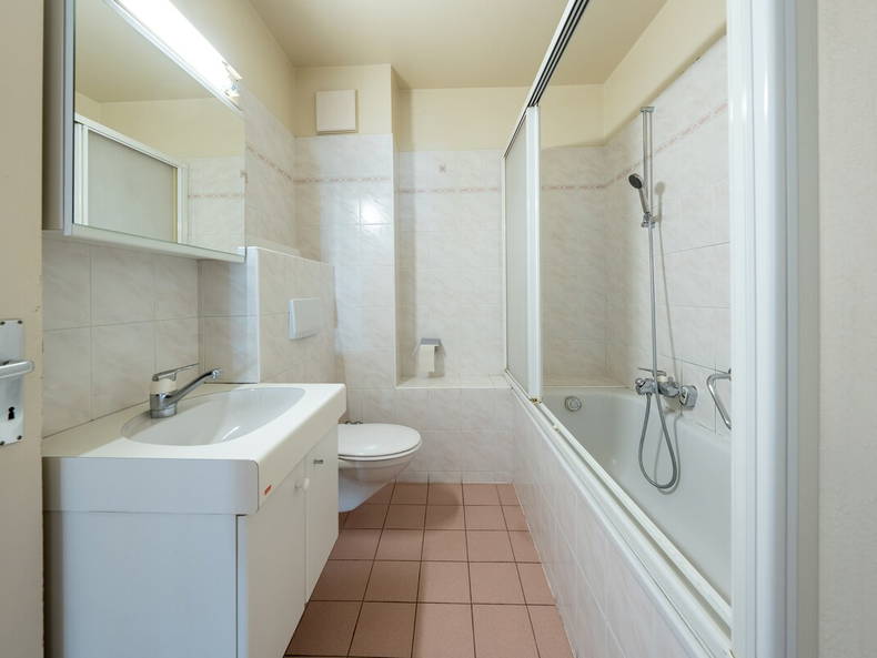 Gesamte Unterkunft Lausanne 675924-3