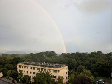 Gastfamilie Nyon 608899-2