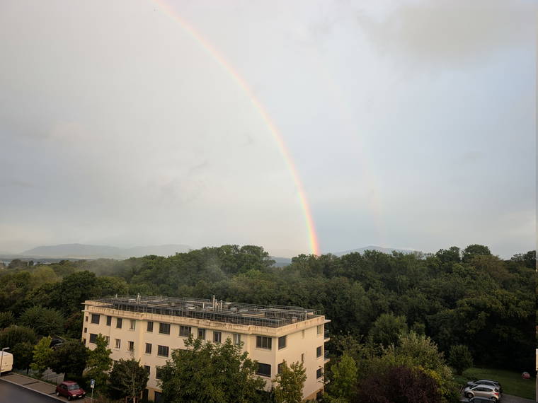 Gastgezin Nyon 608899