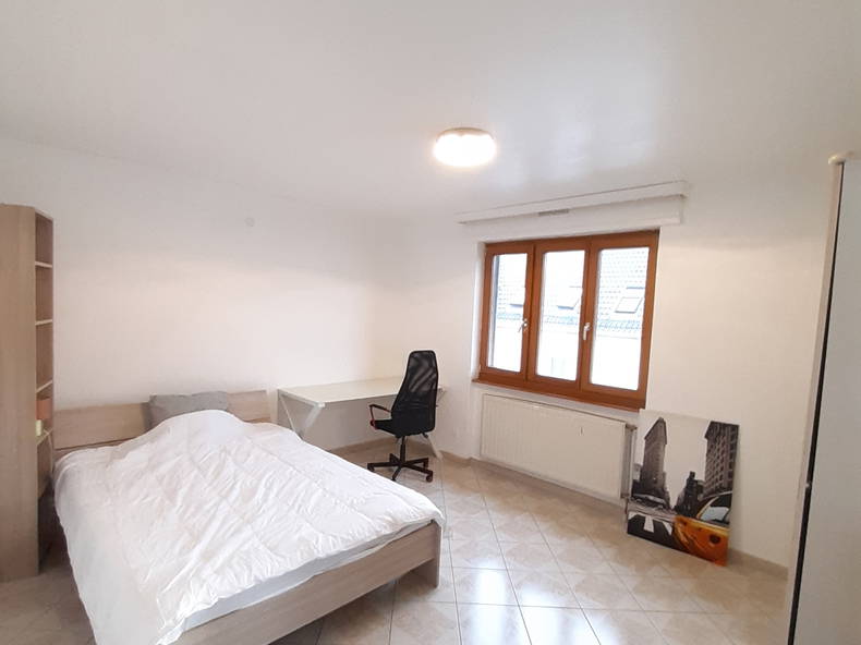 Kolokation Mulhouse 495433-4