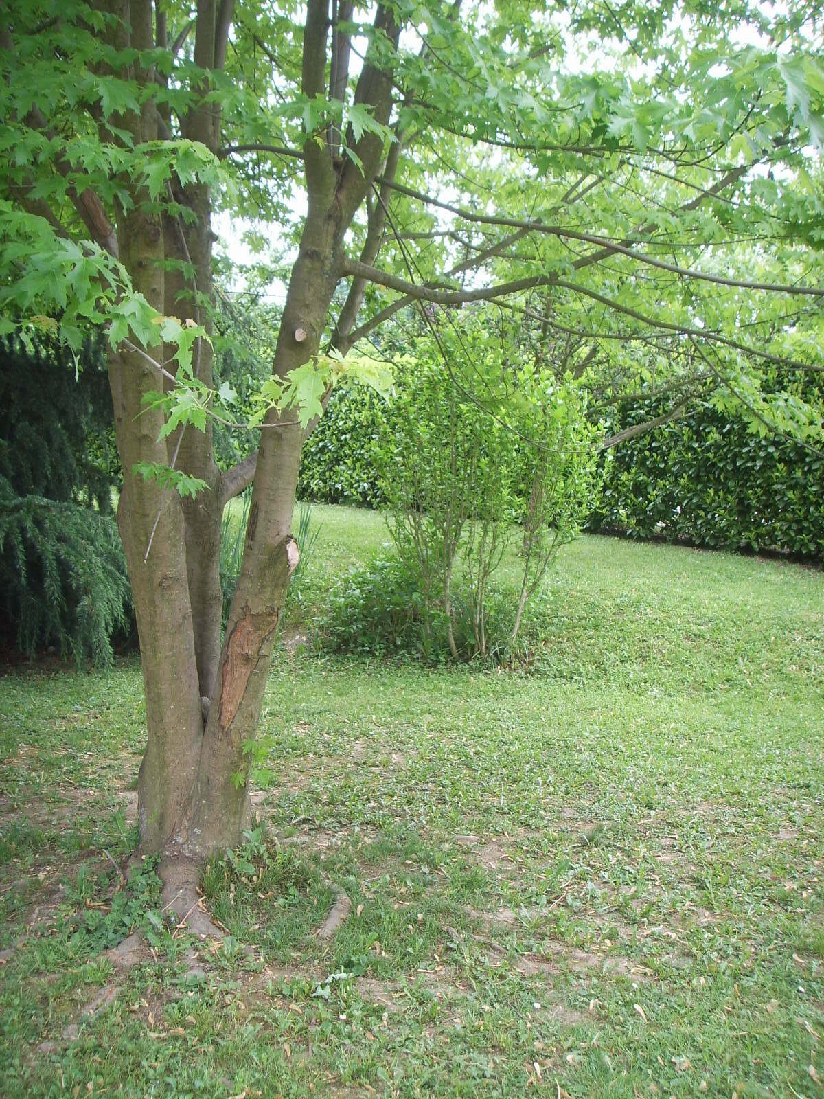 Homestay La Motte-Servolex 204472