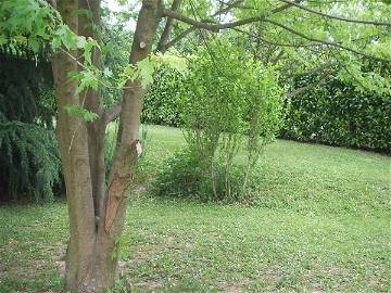 Chambre Chez L'habitant La Motte-Servolex 204472-5