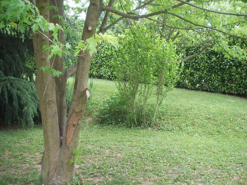 Gastfamilie La Motte-Servolex 204472-5