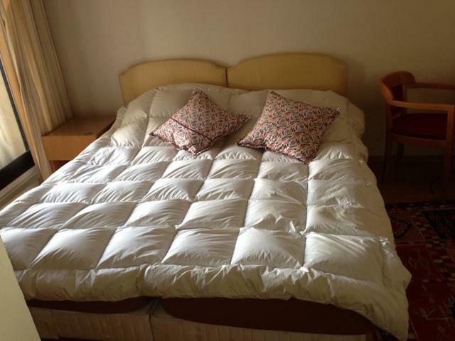 Chambre Chez L'habitant Paris 40112