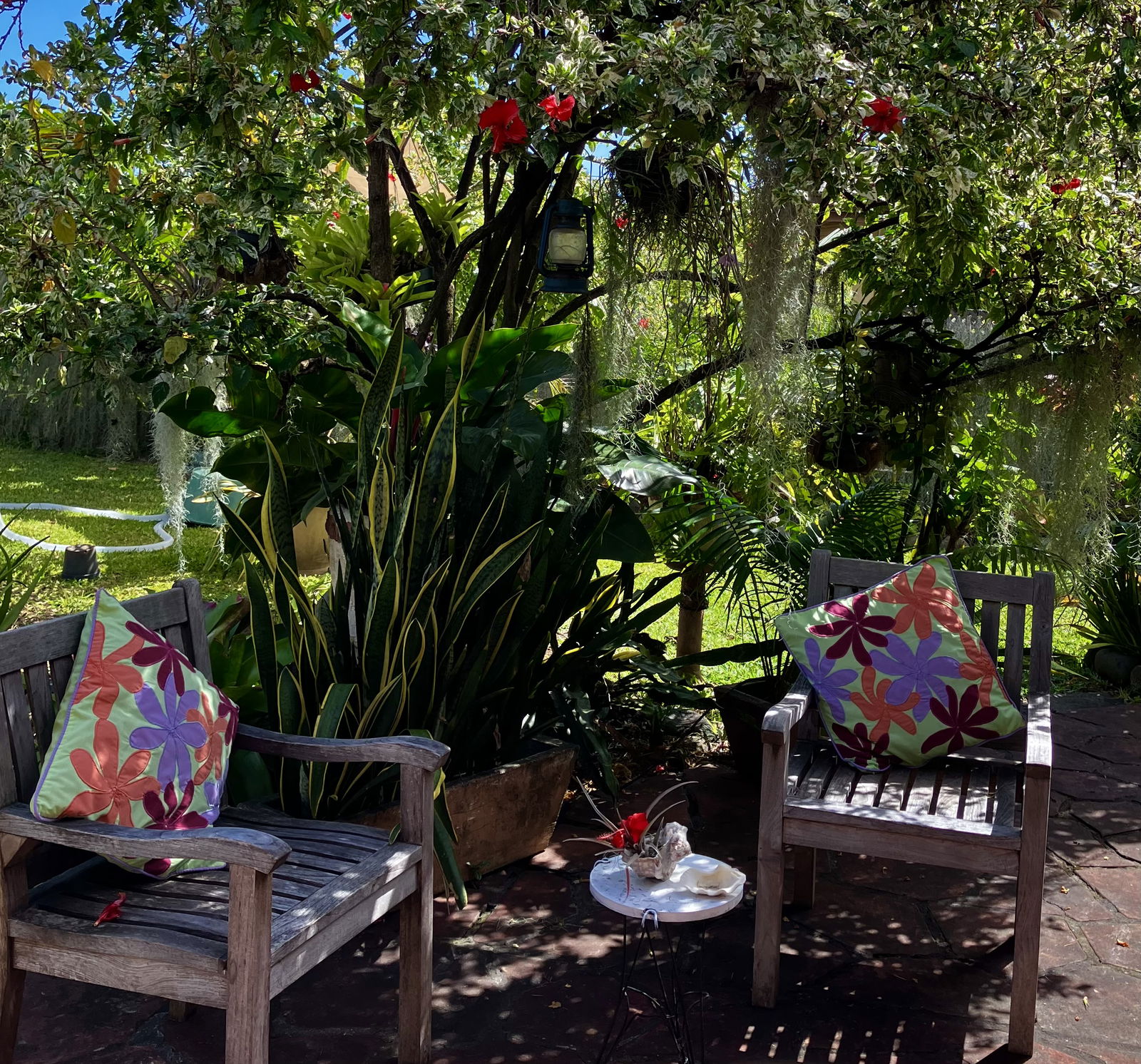 Homestay Puna'auia 216694