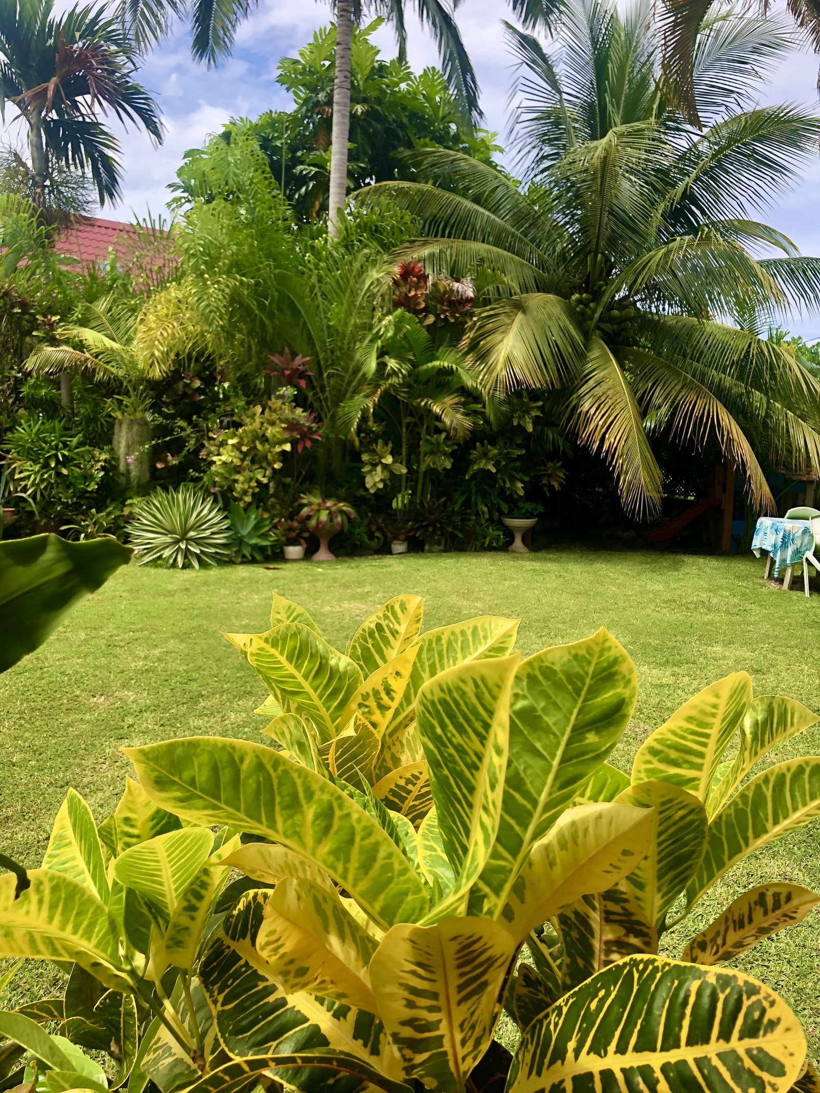 Homestay Puna'auia 216694