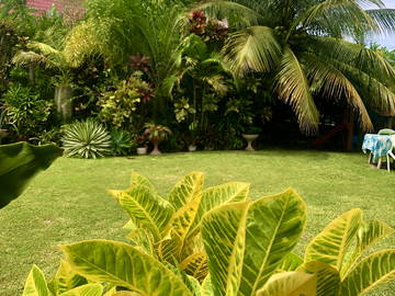 Chambre Chez L'habitant Puna'auia 216694-6