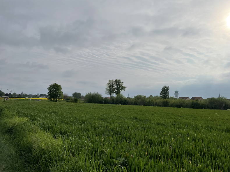 Colocation Steenokkerzeel 464310-4