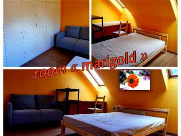 Roomlala | Chambre #Marigold Calme Et Lumineuse louvain-la-neuve