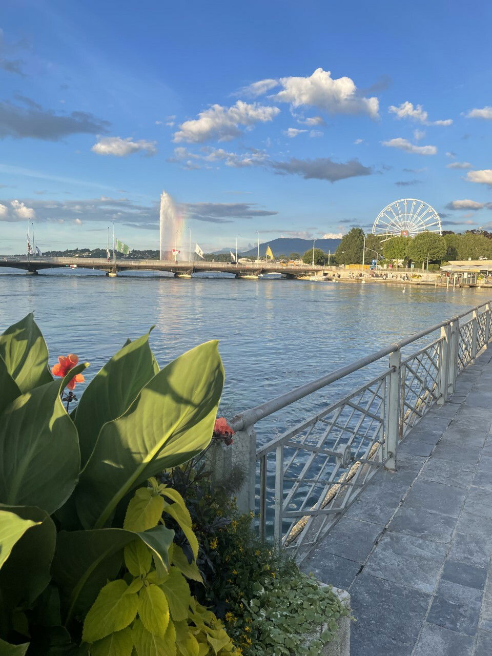 Gastfamilie Genève 218213