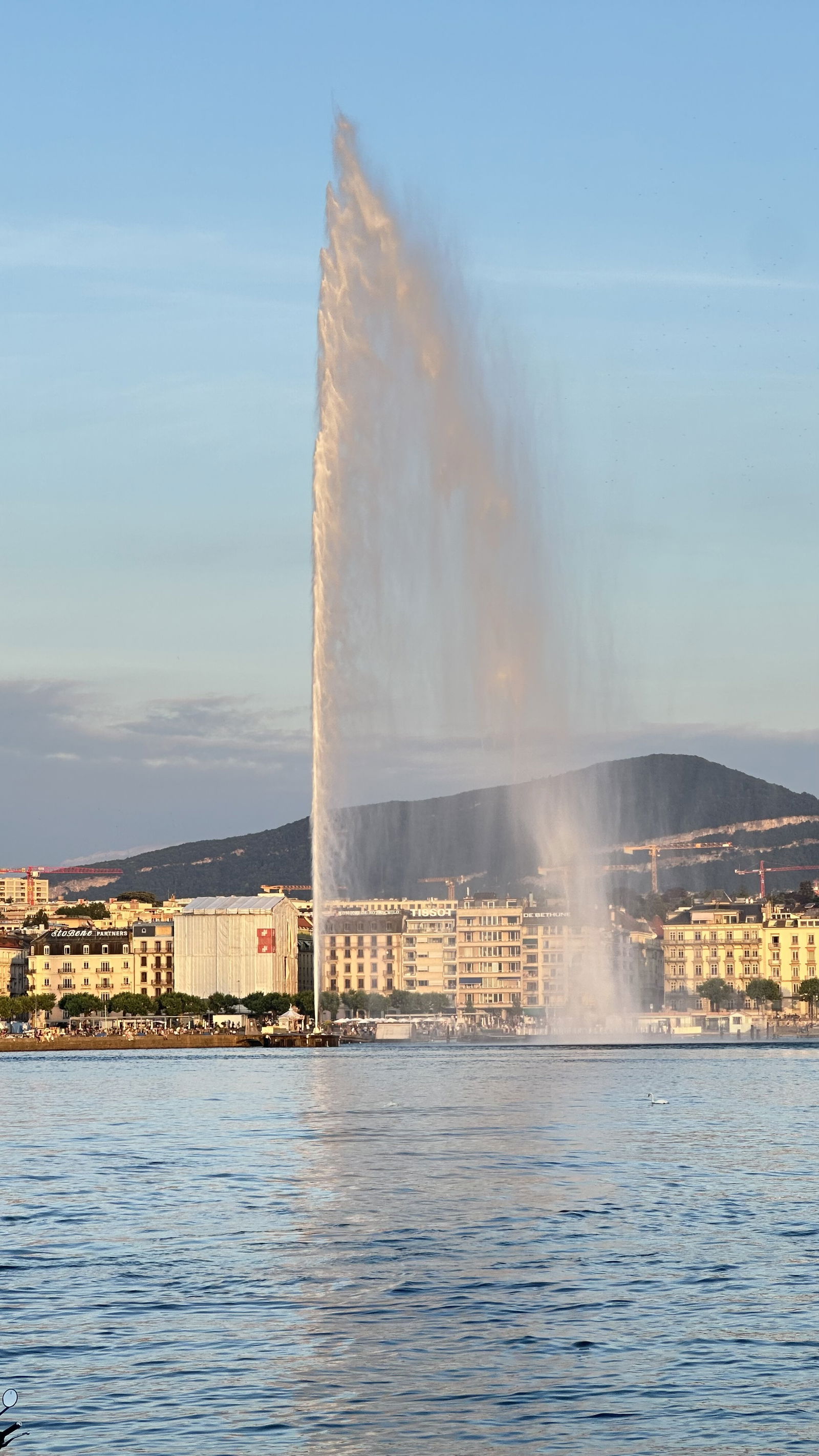 Gastfamilie Genève 218213