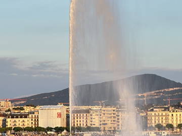 Homestay Genève 218213-6