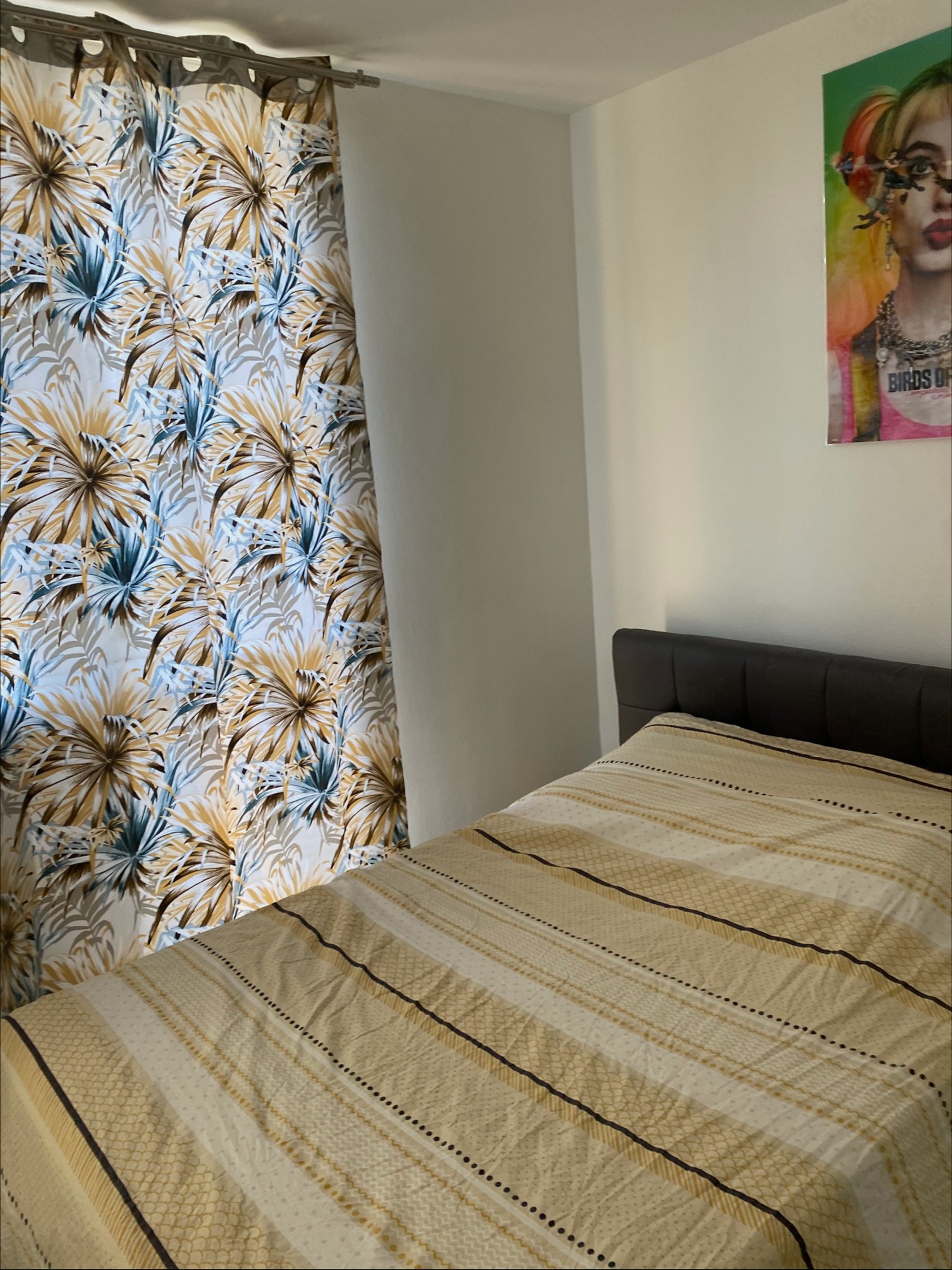 Colocatie Noisy-le-Grand 263281