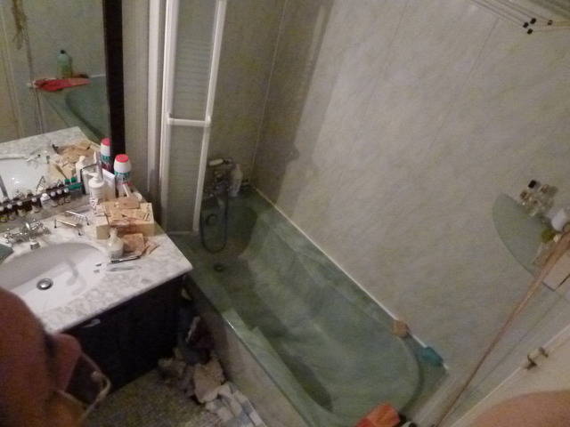 Homestay Villeurbanne 10006-4