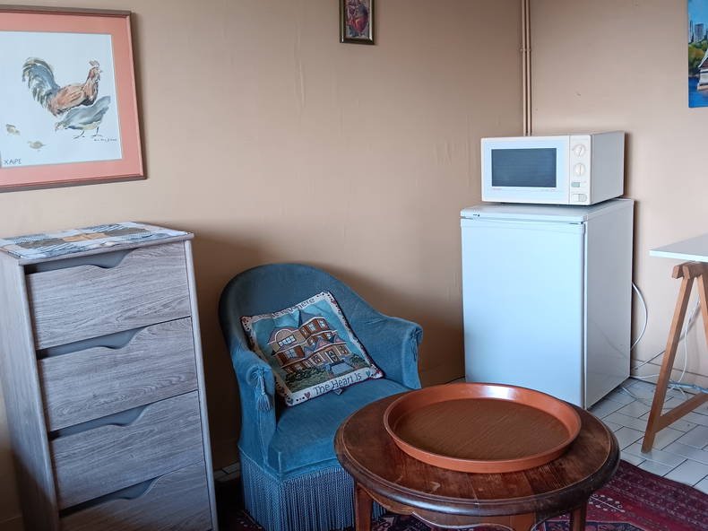 Homestay Tassin-la-Demi-Lune 20613-1