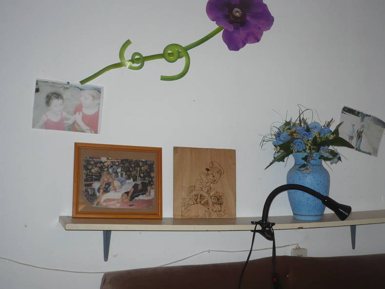 Colocation Savigny-lès-Beaune 119072-3