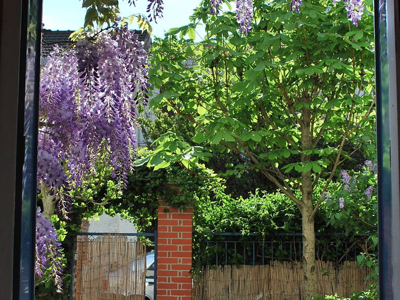 Homestay Ivry-sur-Seine 125254-1