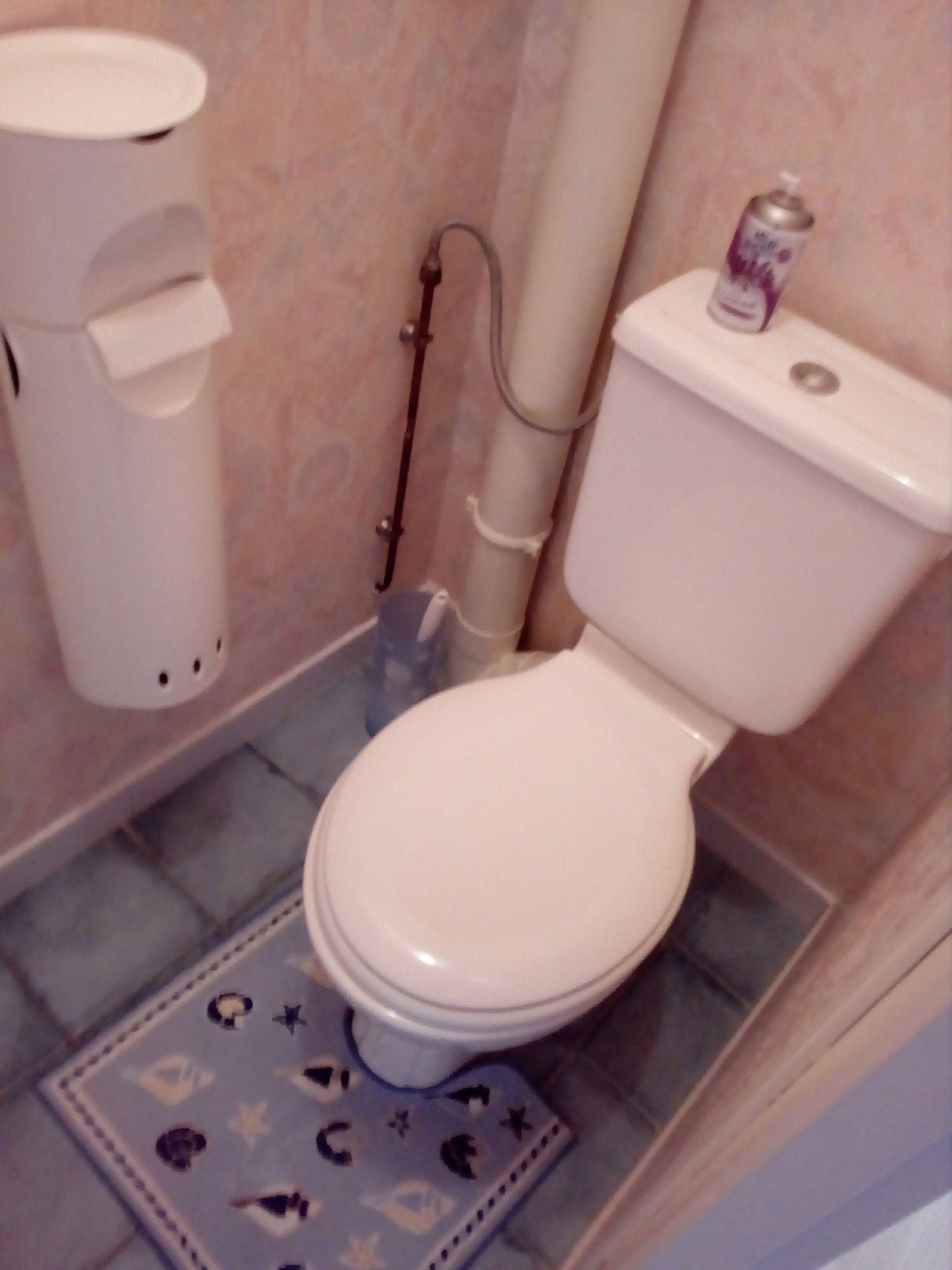 Colocation Steenvoorde 148234