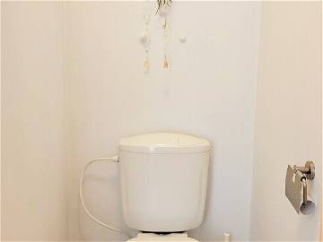 Logement Entier Uccle 383151-6