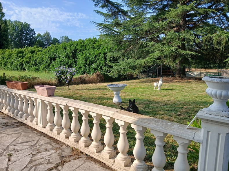 Hjemmeophold Saint-Hilaire-de-Lusignan 657711-1