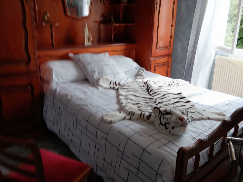 Hjemmeophold Saint-Hilaire-de-Lusignan 657711-3