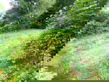 Colocation Liège 646260-6