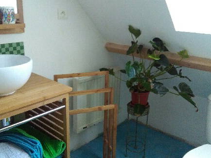 Gastfamilie Sainte-Gauburge-Sainte-Colombe 477906-5