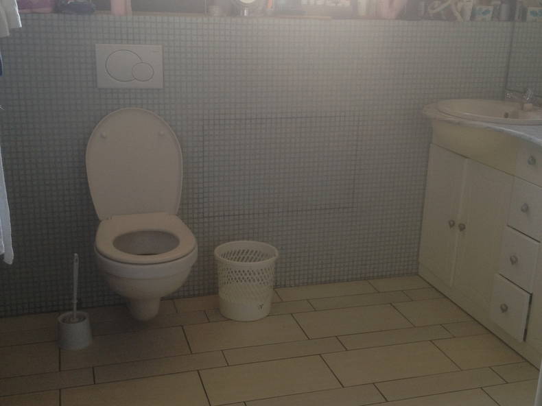 Chambre Chez L'habitant Kingersheim 13198-4