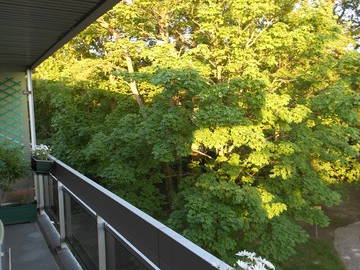 Chambre Chez L'habitant Versailles 23537-4